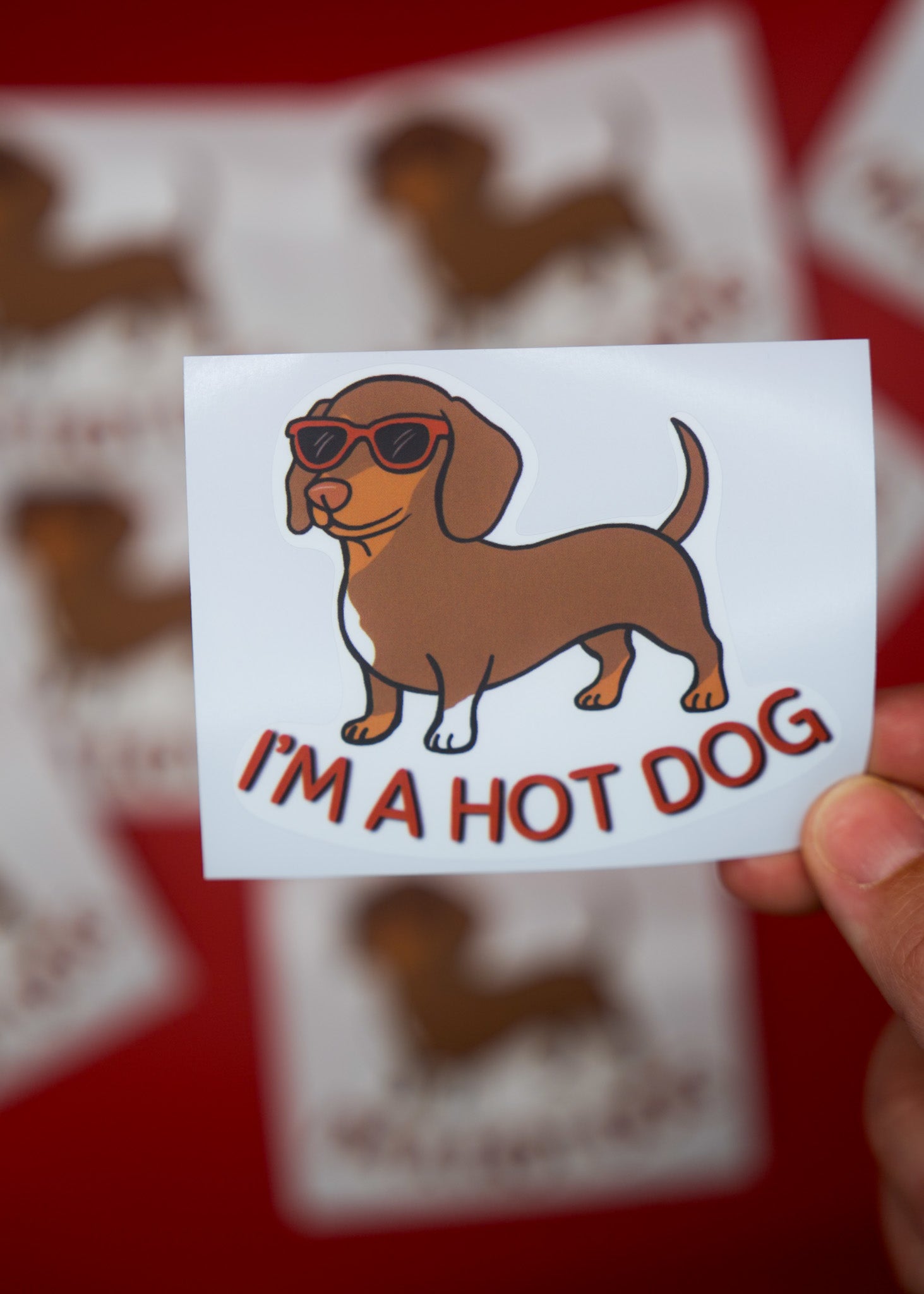 Certified Hot Dog